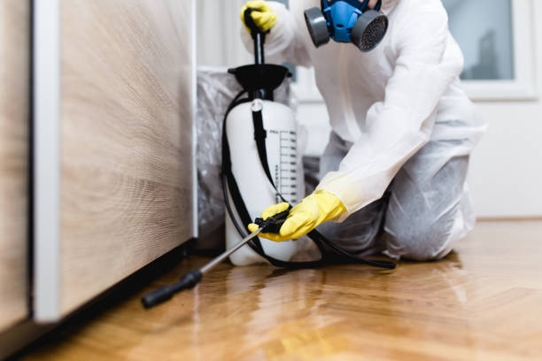 Best Mosquito Control Services  in Lmerton, PA