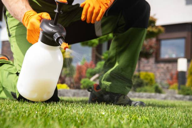 Best Best Pest Control Companies  in Lmerton, PA
