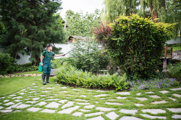 Best Pest Control Treatment  in Lmerton, PA