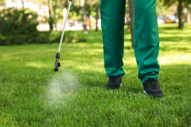 Best Pest Prevention Services  in Lmerton, PA