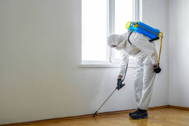 Professional Pest Control in Palmerton, PA