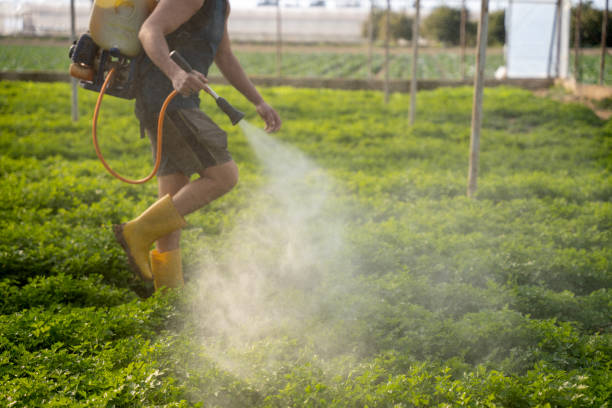 Best Ant Control Services  in Lmerton, PA