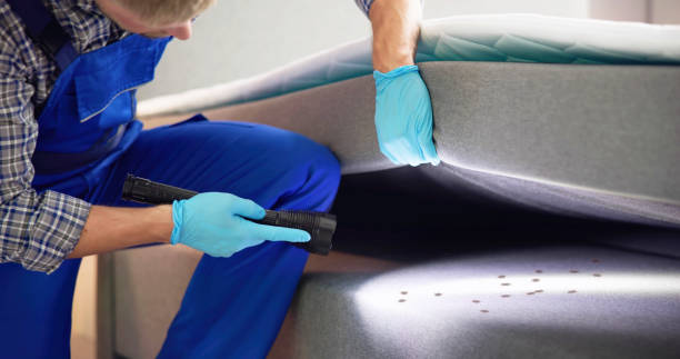 Trusted Palmerton, PA Pest Control Experts