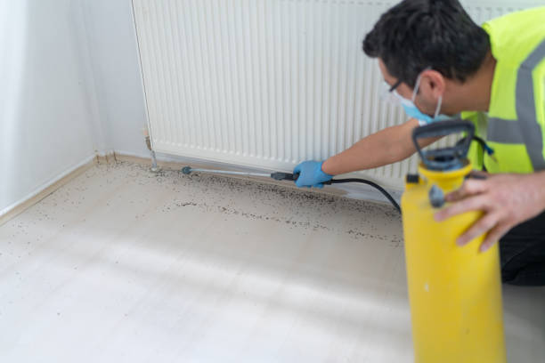 Best Cockroach Control Services  in Lmerton, PA