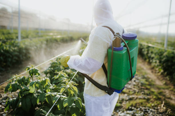  Lmerton, PA Pest Control Pros